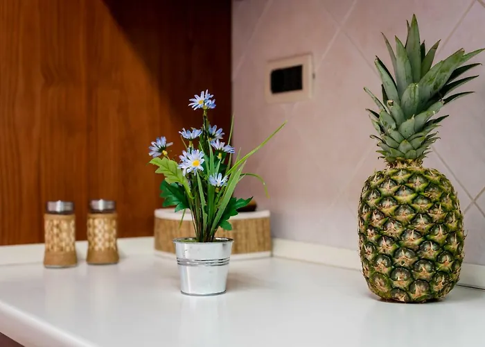 Summer Dream Spalato