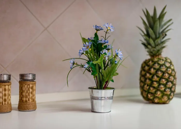 Summer Dream * Split